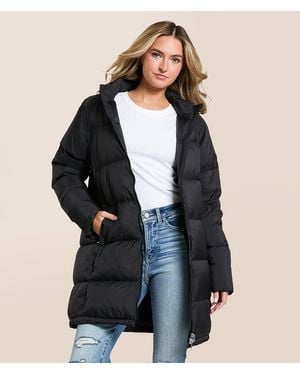 Ariat Ultra Puff Quilted Down Hooded Jacket - Black