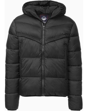 Buffalo David Bitton Buffalo Jeans Jerome Hooded Puffer Jacket - Black
