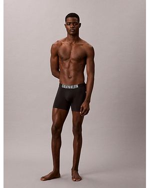 Calvin Klein Boxer Briefs Intense Power Motion - Brown
