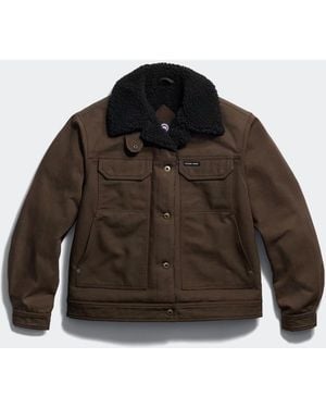 Canada Goose Ash Lightweight Bomber - Brown