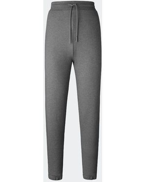 Canada Goose Pantaloni Pesanti Tobermory Label (Uomo, - Grigio