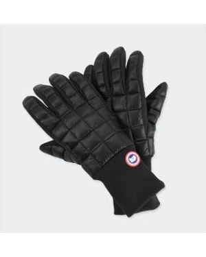 Canada Goose Men's Northern Glove Liner - Black