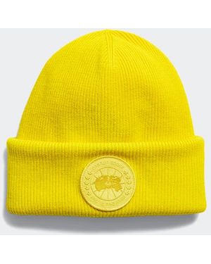 Canada Goose Toque Arctic Tinto (Uomo, - Giallo