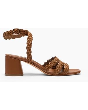 Casadei Avenida Cleo Sandal - Brown