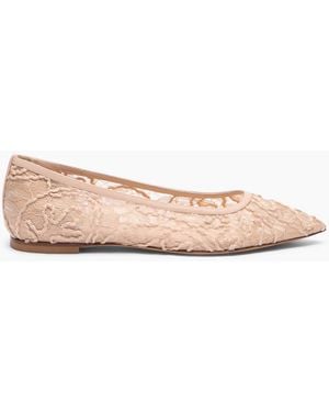 Casadei Chantilly Ballerine - Rose