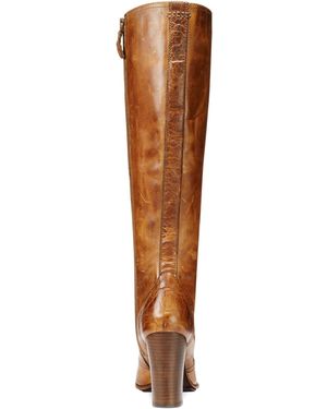 Frye Women'S Parker Tall Laceup Dress Boot - Brown