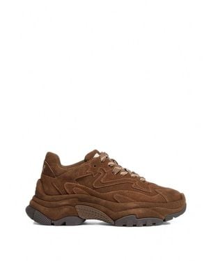 Ash Sneakers Basse Con Pannelli Addict Bis - Marrone