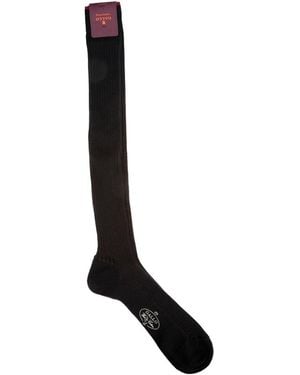 Gallo Ribbed Knee-High Socks - Black