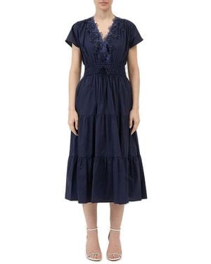ERMANNO FIRENZE Frilled Shaded Lace Poplin Dress - Blue