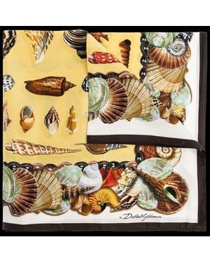Dolce & Gabbana Shell Print Scarf - Black