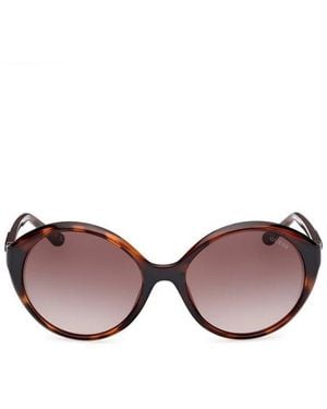 Guess Oval Frame Sunglasses - Brown
