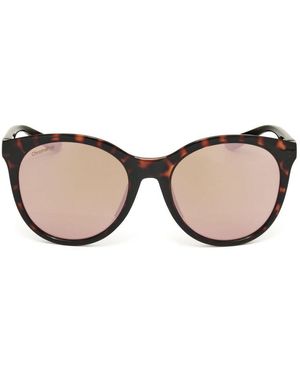 Smith Cat Eye Frame Full Rim Sunglasses - Brown
