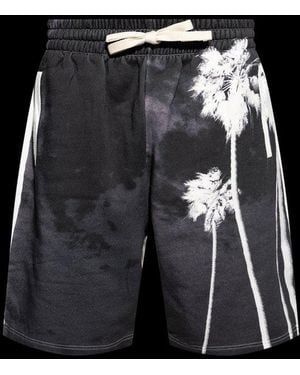 Palm Angels Graphic Printed Shorts - Black