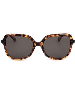 Ted Baker Butterfly Frame Full Rim Sunglasses - Black