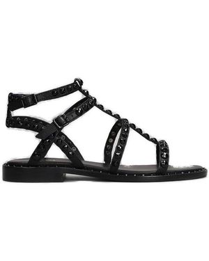Ash Precious Studded Sandals - Black