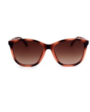 Ted Baker Butterfly Frame Full Rim Sunglasses - Brown