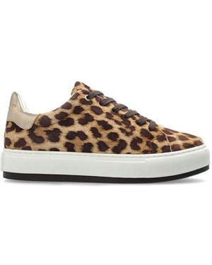 Kurt Geiger Animal Print Casual Sneakers - Brown