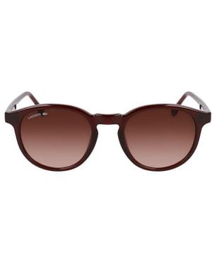 Lacoste Round Frame Sunglasses - Brown