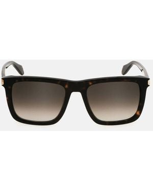 Just Cavalli Square Frame Sunglasses - Brown