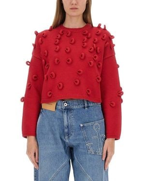 JW Anderson Cropped Loop Jumper - Red