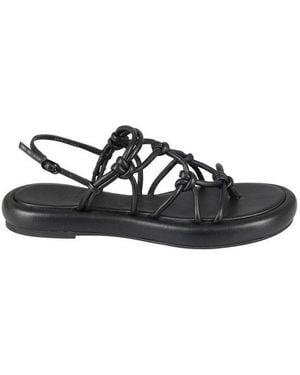 STUDIO AMELIA Strappy Buckled Sandals - Black