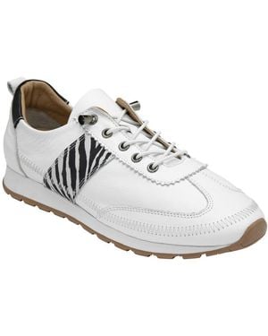 Lotus Lola Trainers - White