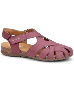 Hotter Carpa Sandals - Purple