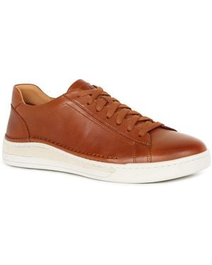 Josef Seibel Cleve 02 Trainers - Brown