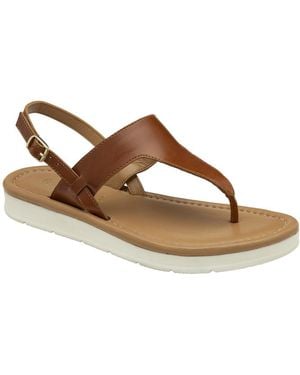 Ravel Cattal Toe Post Sandals - Brown