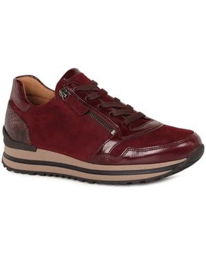 Gabor Nulon Sneakers - Red