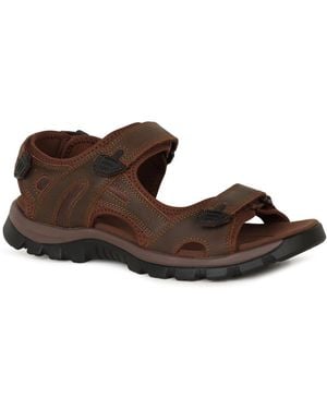 Josef Seibel Bart 06 Sandals - Brown