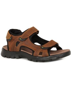 Josef Seibel Bart 04 Riptape Sandals - Brown