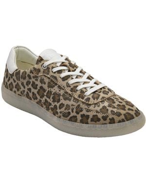 Lotus Frapporta Trainers - Multicolour