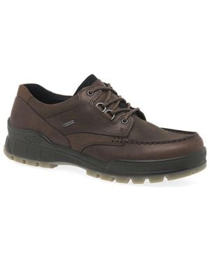 Ecco Chiltern Gore-Tex Shoes - Brown