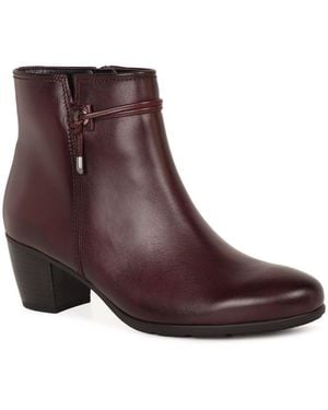 Gabor Ela Ankle Boots - Brown