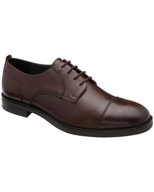 Frank Wright Keetley Derby Shoes - Brown