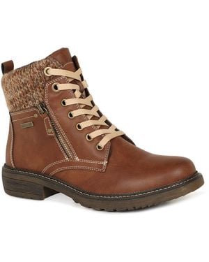 Charles Clinkard Isla 01 Ankle Boots - Brown