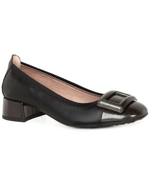 Hispanitas Oporto Ballet Court Shoes - Black