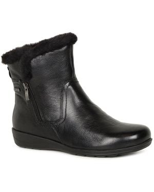 Caprice Vivian Ankle Boots - Black