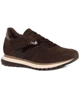 Gabor Harp Sneakers - Brown