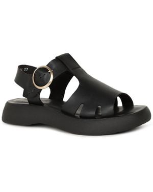 Fly London Bady Sandals - Black