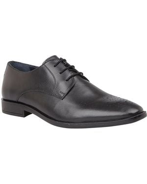 Lotus Ivan Derby Shoes - Black