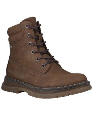 Westland Peyton 01 Ankle Boots - Brown