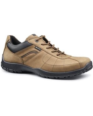 Hotter Thor Ii Gtx Walking Shoes - Brown