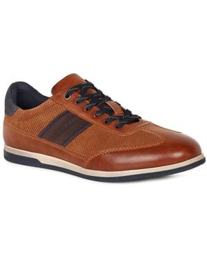 Bugatti Titon Shoes - Brown