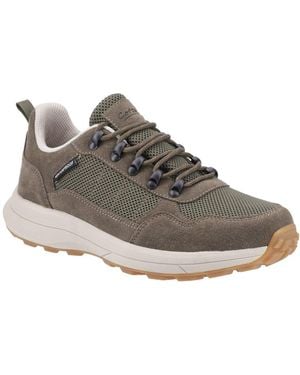 Cotswold Elmfield Lace Up Shoes - Grey