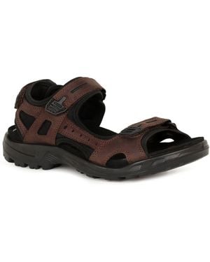 Ecco Yucatan Rip Tape Fastening Sandals - Brown