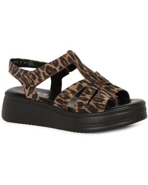 Gabor Abel Sandals - Brown