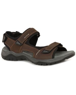 Josef Seibel Arlo 02 Sandals - Brown