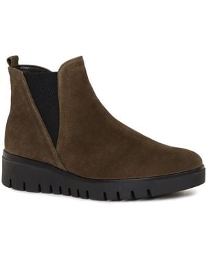 Gabor Dublin Chelsea Boots - Brown
